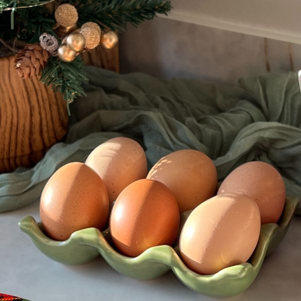 Porta Ovos de Cerâmica Cozinha Retrô - Fendi