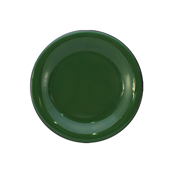 Prato de Sobremesa Esmaltado - Verde