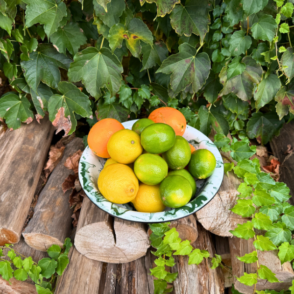 Bacia de Ágata Verde Marmorizado - 28 cm