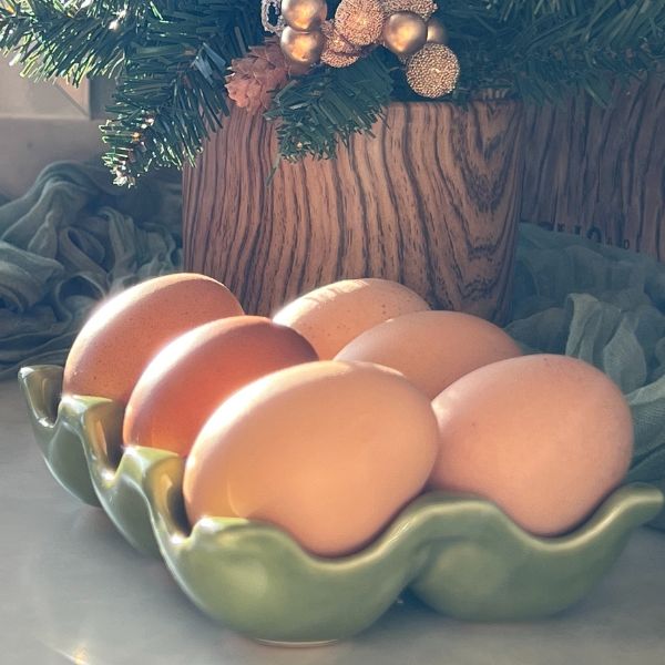 Porta Ovos de Cerâmica Cozinha Retrô - Fendi